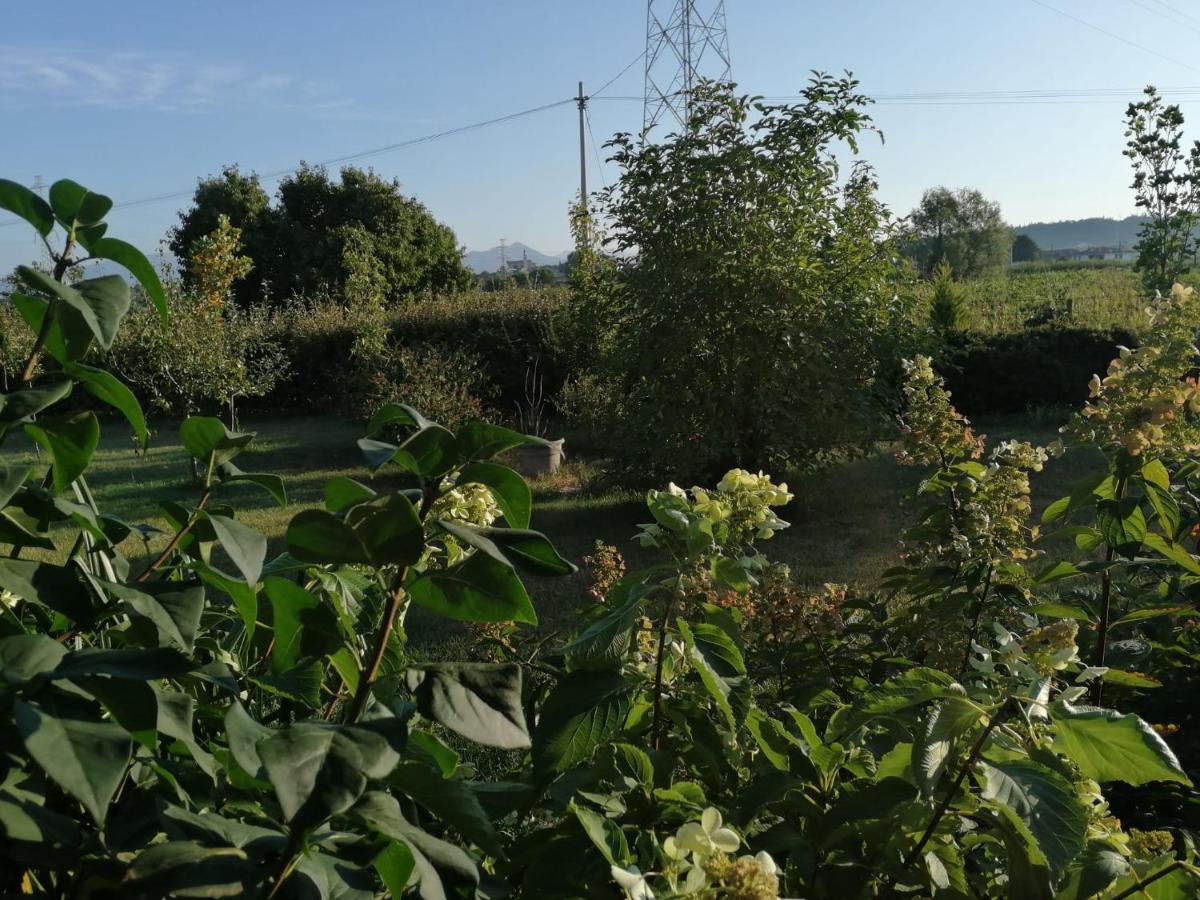 Bed and Breakfast Ca' Blanca Castelnuovo del Garda Esterno foto