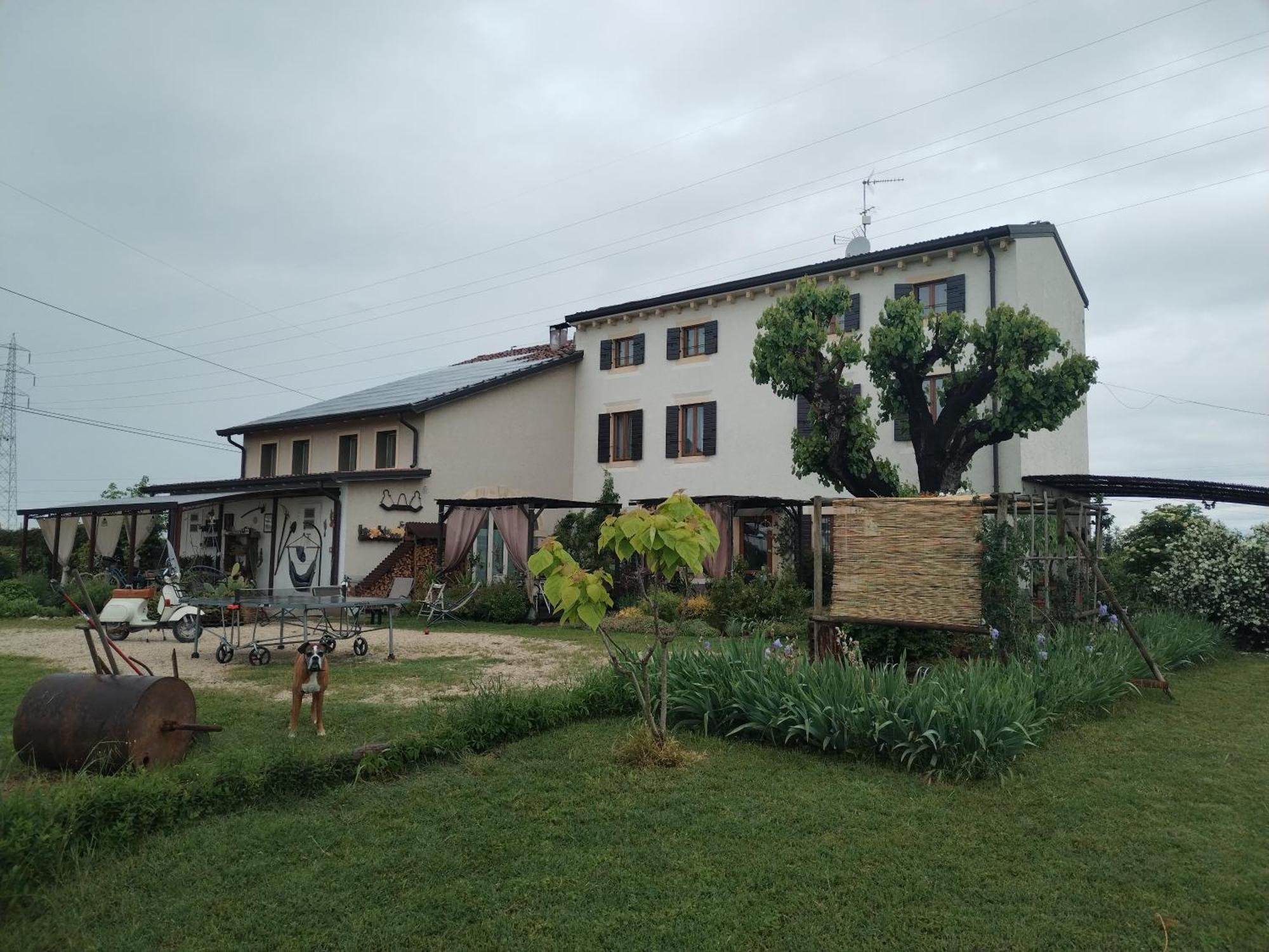 Bed and Breakfast Ca' Blanca Castelnuovo del Garda Esterno foto