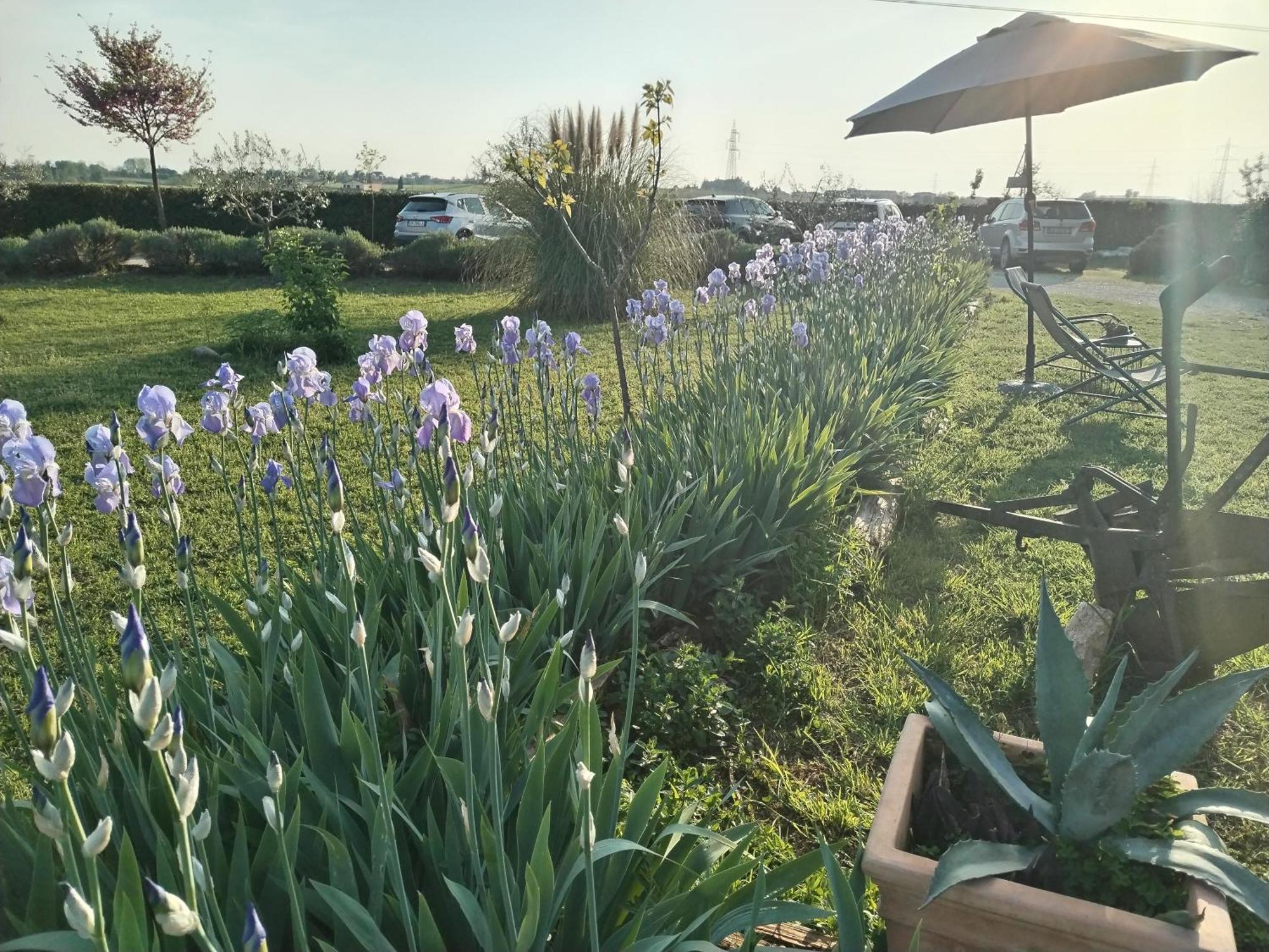 Bed and Breakfast Ca' Blanca Castelnuovo del Garda Esterno foto